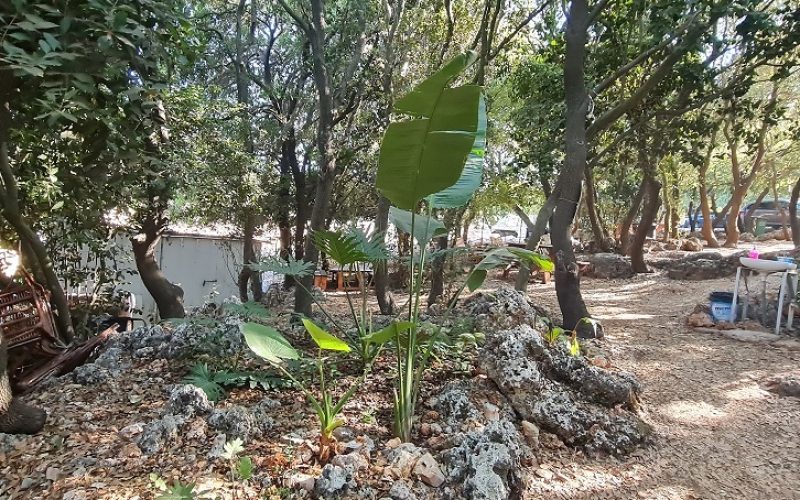 פארק ראני חלבי – דלית אל כרמל