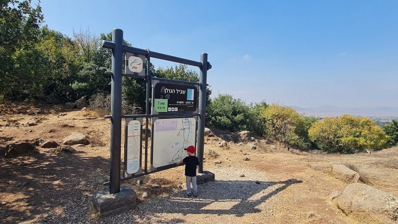 הר חוזק בשמורת רכס בשנית – טיול פריחה של סתיו ברמת הגולן