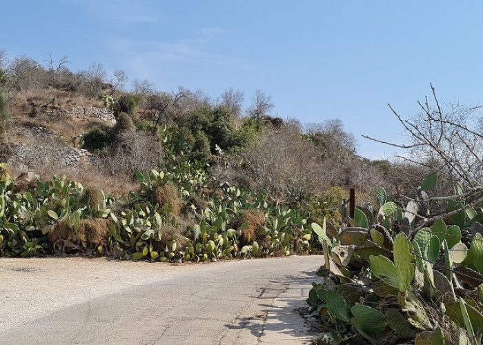 גן לאומי צובה – תל צובה פארק יצחק רבין