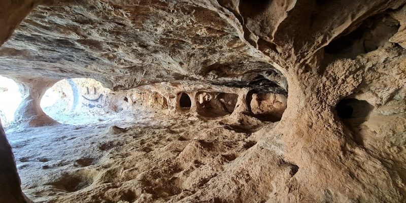 שמורת הטבע נחל חלילים – טיול מאחורי העיר בטבע מרהיב