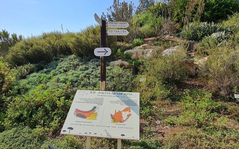 הגן הבוטני האוניברסיטאי בגבעת רם – ירושלים