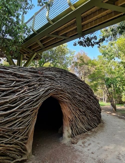 הגן הבוטני האוניברסיטאי בגבעת רם – ירושלים