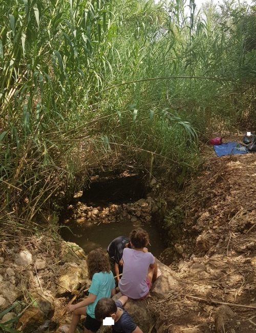 עין תרמילאים – נחל זכרונה