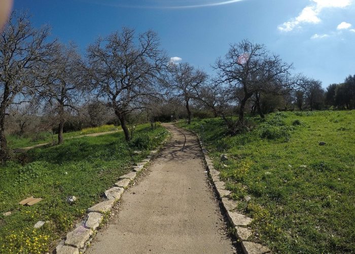 שביל נחל ציפורי שביל שמשית – מסלול נגיש לעגלות