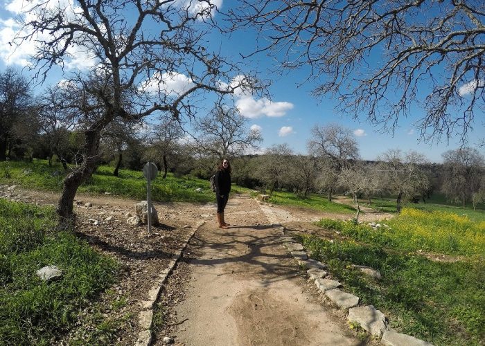 שביל נחל ציפורי שביל שמשית – מסלול נגיש לעגלות