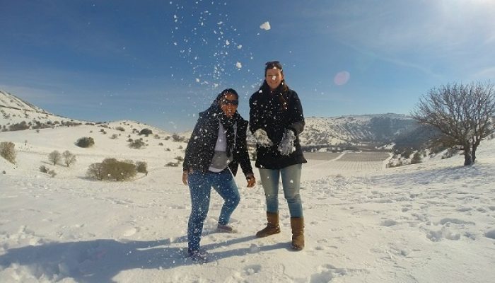 רמת הגולן בשלג