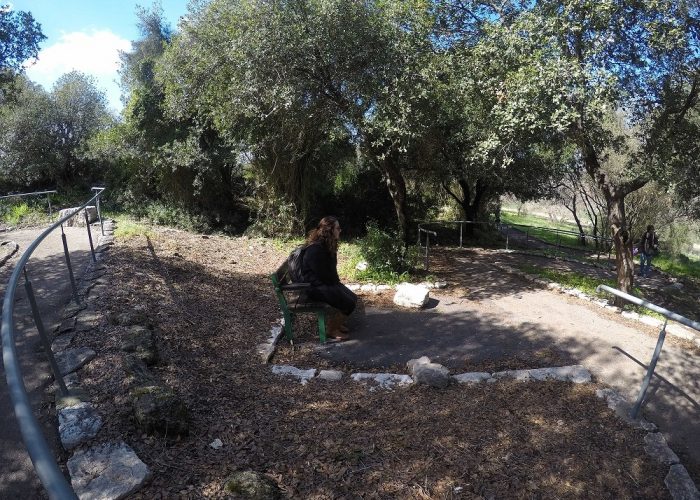 שביל נחל ציפורי שביל שמשית – מסלול נגיש לעגלות