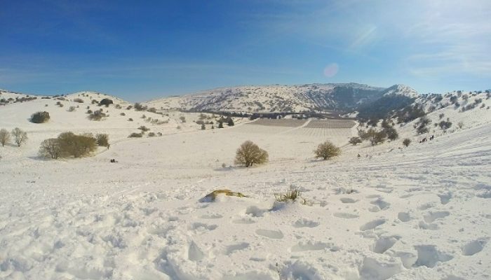 רמת הגולן בשלג