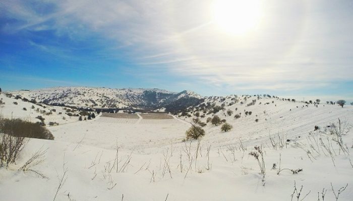 רמת הגולן בשלג