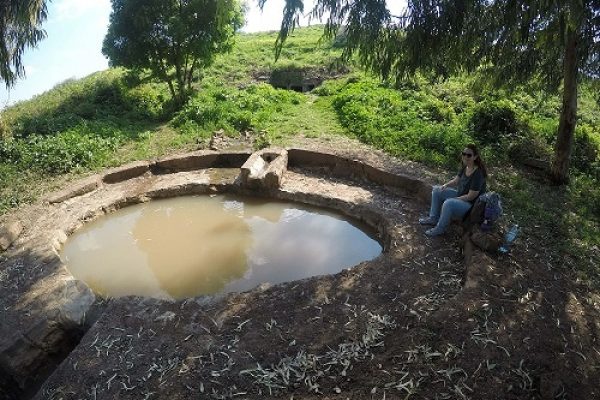 עין שרונה מעיינות ביבניאל