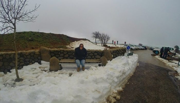 רמת הגולן בשלג