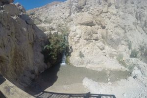 נחל דוד בשמורת הטבע עין גדי