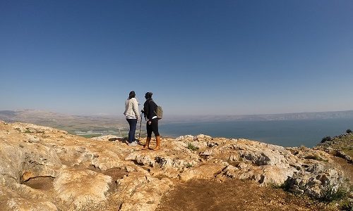 שמורת טבע ארבל
