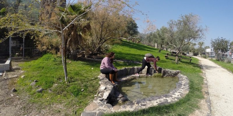 גן לאומי חמת טבריה - מעיינות חמים
