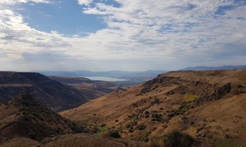 גן לאומי ושמורת הטבע גמלא