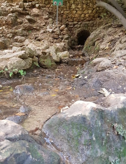 שמורת הטבע נחל עמוד