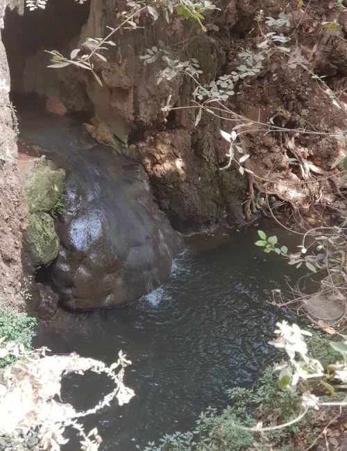 שמורת הטבע נחל עמוד