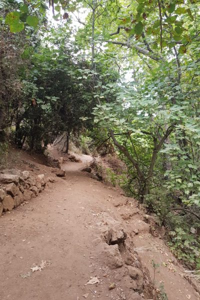 שמורת הטבע נחל עמוד