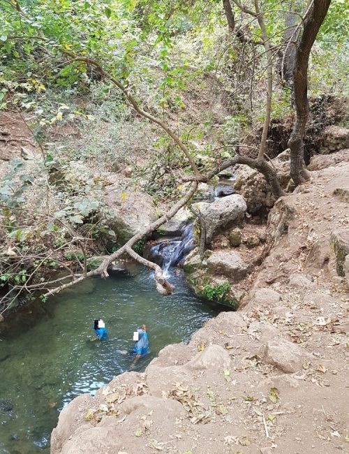 שמורת הטבע נחל עמוד