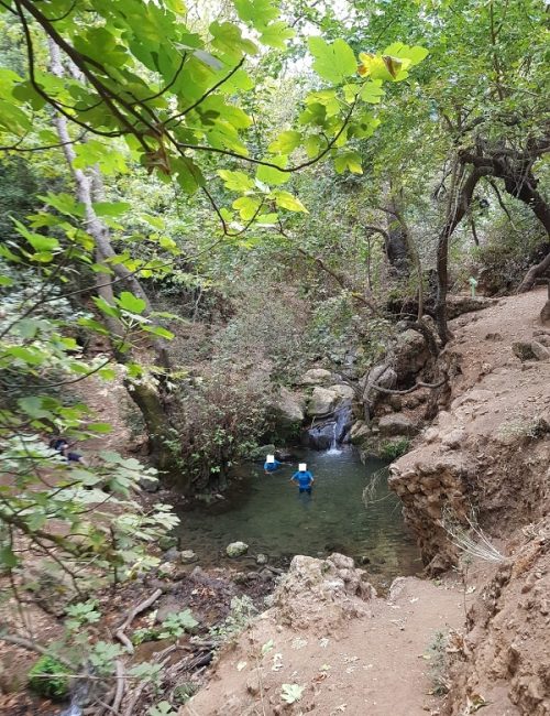 שמורת הטבע נחל עמוד