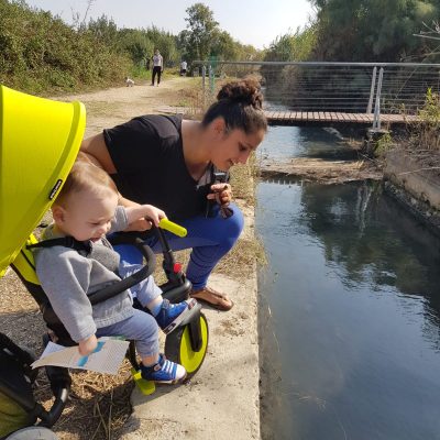 שמורת הטבע עין אפק