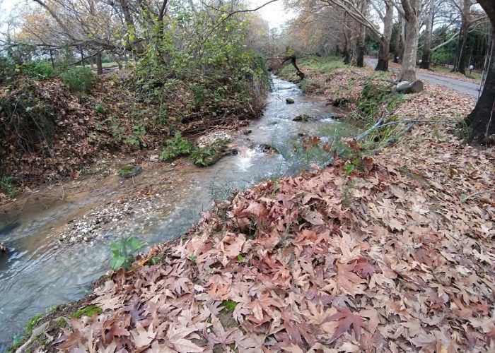 שלכת בנחל שניר חצבני