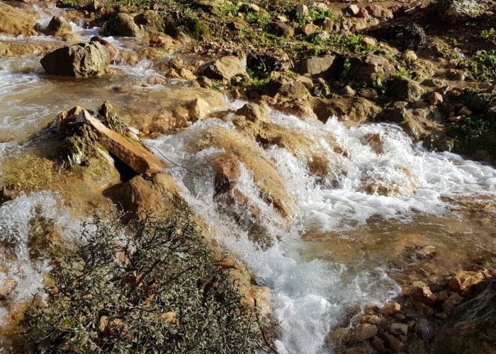 מפלי פרוד שפר נחל צלמון עליון שמורת הטבע הר מירון