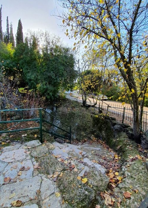 שלכת בגן לאומי בית שערים