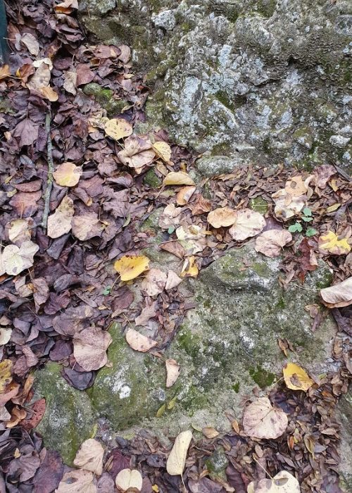 שלכת בגן לאומי בית שערים