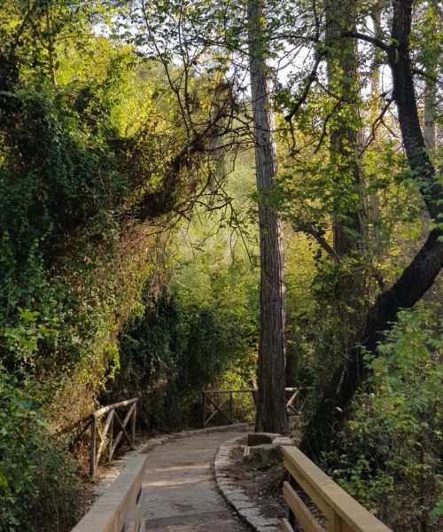 נחל השופט רמות מנשה חניון חרובים