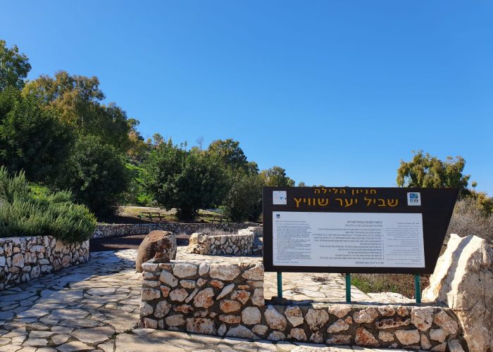 יער שוויץ – טיול בדרך נוף הכנרת