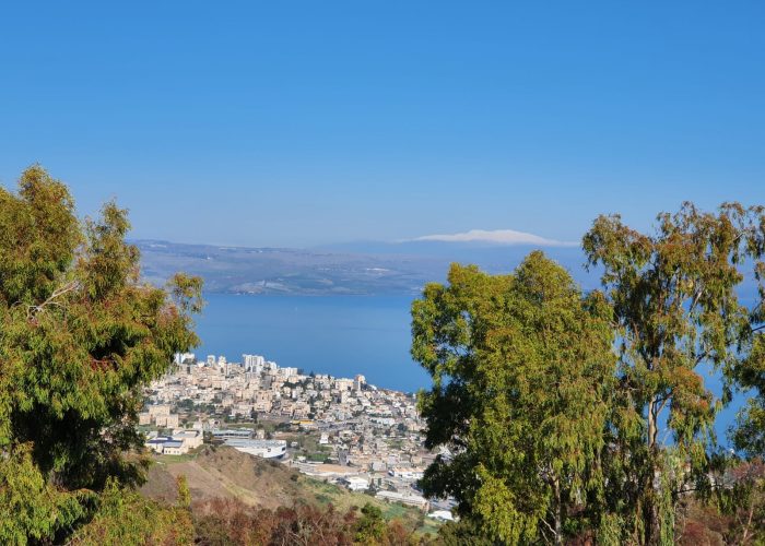 יער שוויץ – טיול בדרך נוף הכנרת