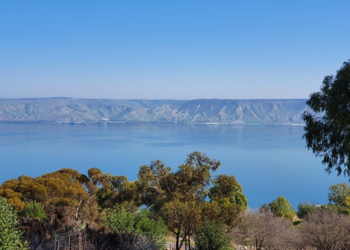יער שוויץ – טיול בדרך נוף הכנרת