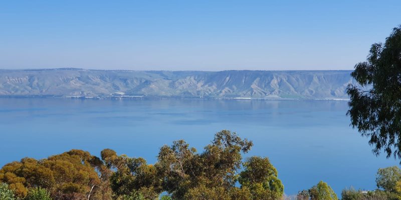 יער שוויץ – טיול בדרך נוף הכנרת