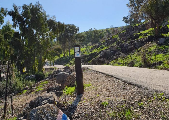 יער שוויץ – טיול בדרך נוף הכנרת