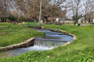 חורשת טל – פארק טבע עם פלגי מים וחניון לילה מסודר