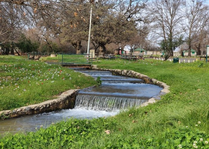 חורשת טל – פארק טבע עם פלגי מים וחניון לילה מסודר