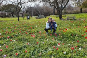 חורשת טל – פארק טבע עם פלגי מים וחניון לילה מסודר