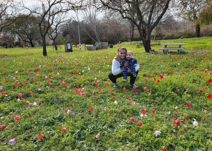 חורשת טל – פארק טבע עם פלגי מים וחניון לילה מסודר