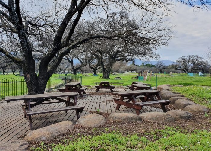 חורשת טל – פארק טבע עם פלגי מים וחניון לילה מסודר