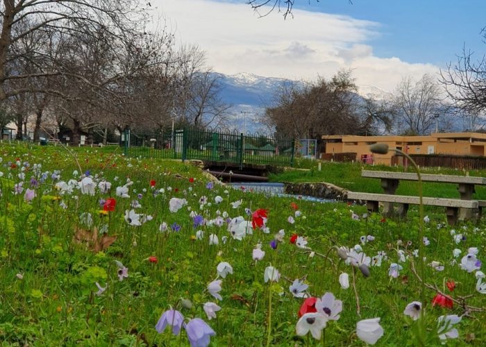 חורשת טל – פארק טבע עם פלגי מים וחניון לילה מסודר