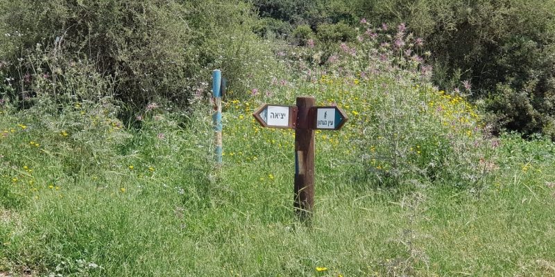 עין געתון וחרבת געתון