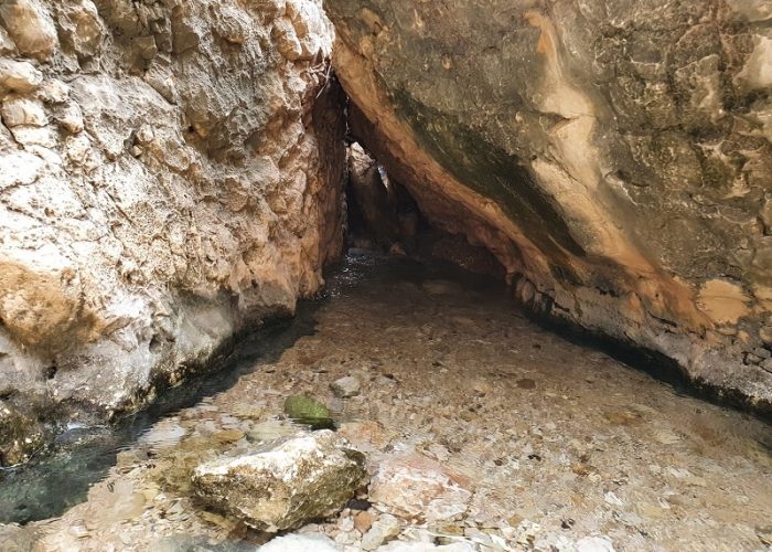 נחל עמוד תחתון - עין עמוד