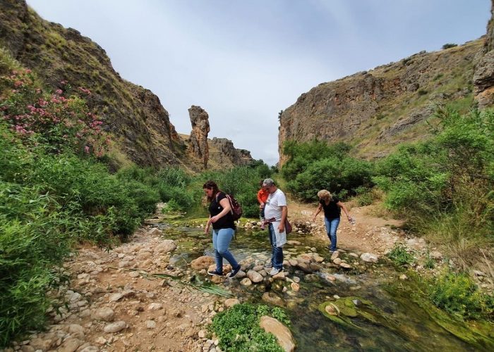 נחל עמוד תחתון - עין עמוד
