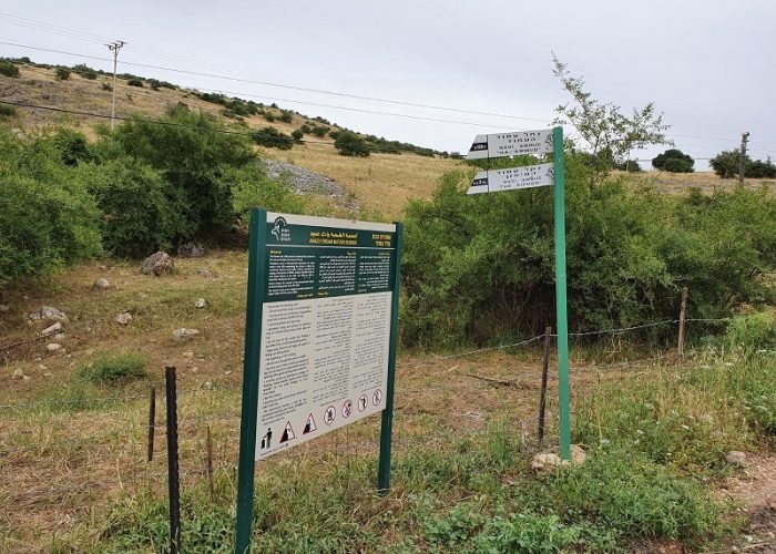 נחל עמוד תחתון - עין עמוד