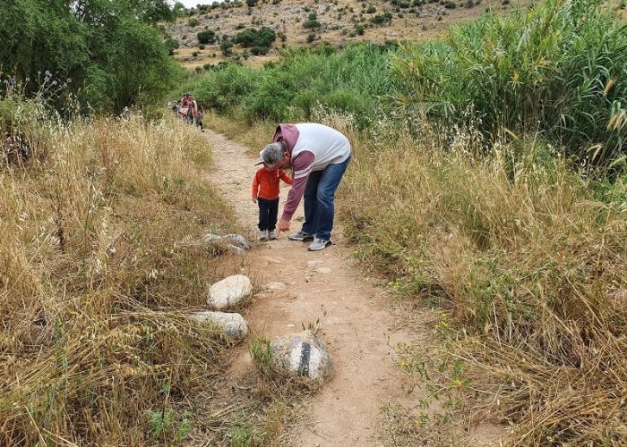 נחל עמוד תחתון - עין עמוד