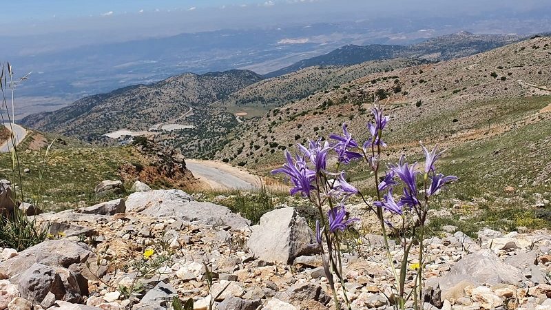 סיורי קיץ בהר חרמון עם החברה להגנת הטבע