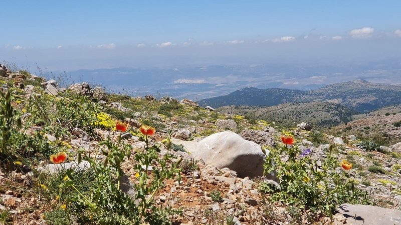 סיורי קיץ בהר חרמון עם החברה להגנת הטבע