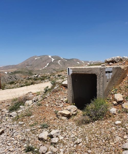 סיורי קיץ בהר חרמון עם החברה להגנת הטבע