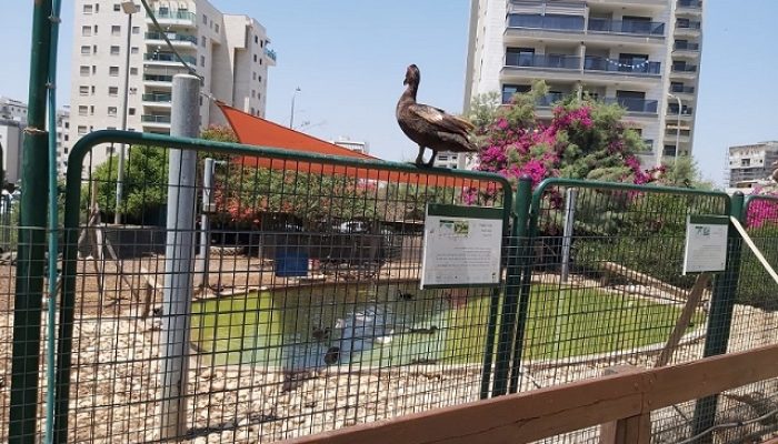 פארק חי העמק - פארק עירוני עפולה